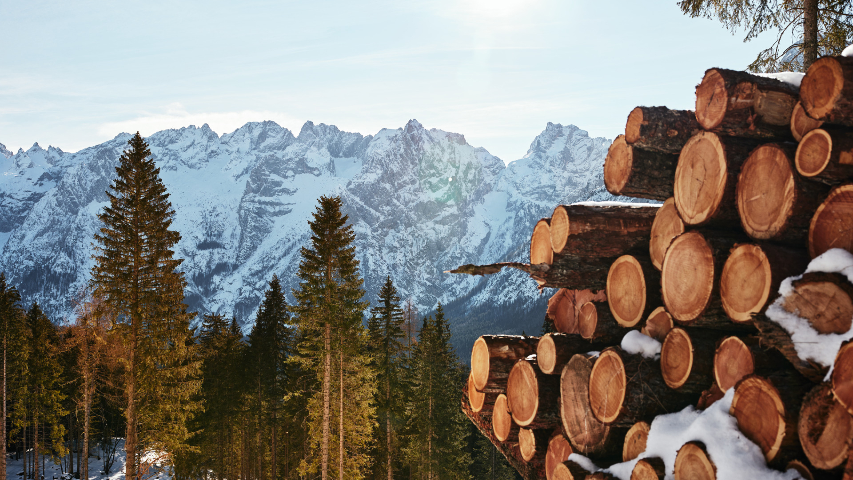 Panoramica de montanha coberta de neve  com árvores e uma pilha de lenha em primeiro plano