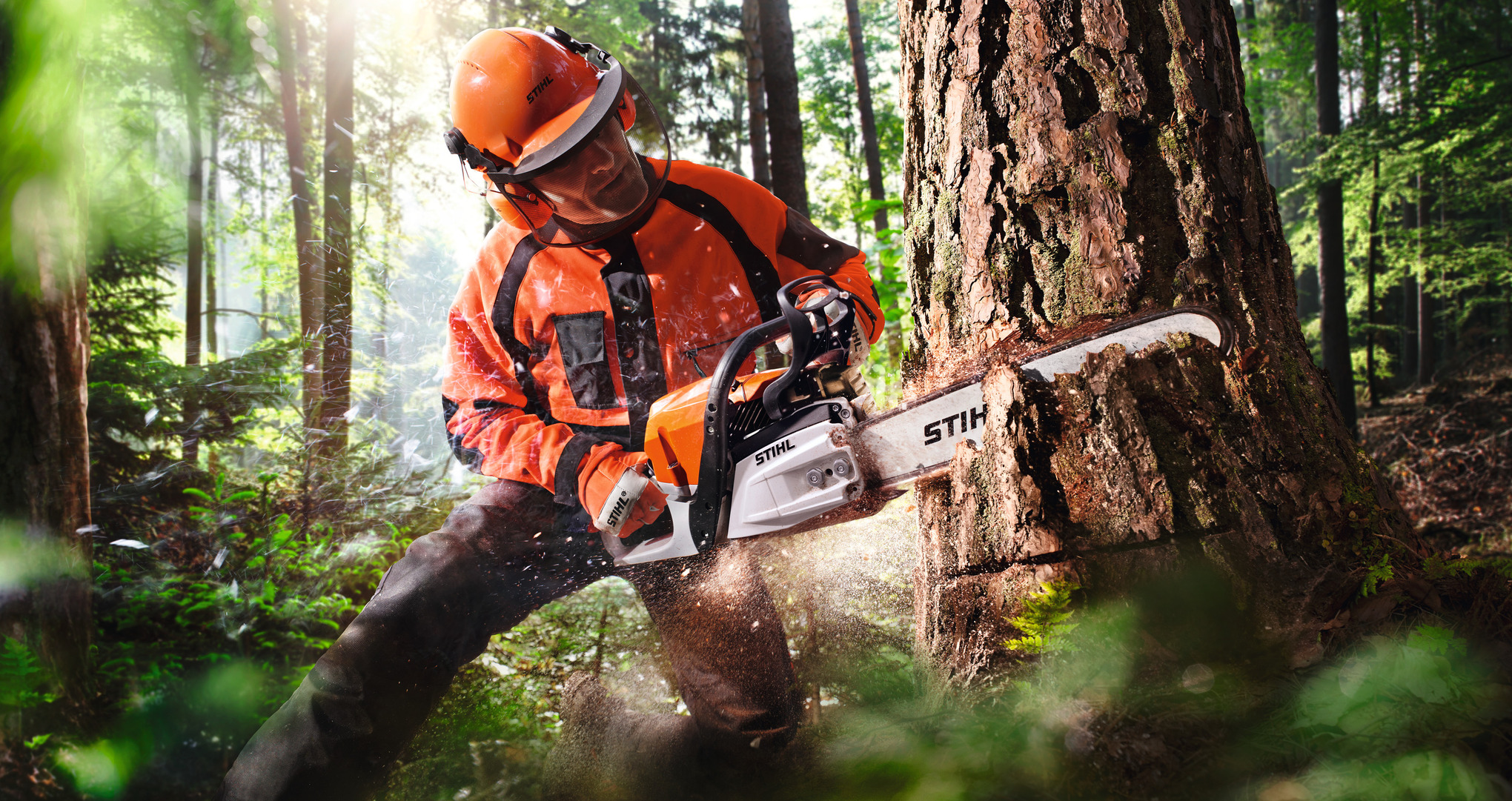 Escalar uma árvore com uma máquina de corte a bateria GTA 40 da STIHL