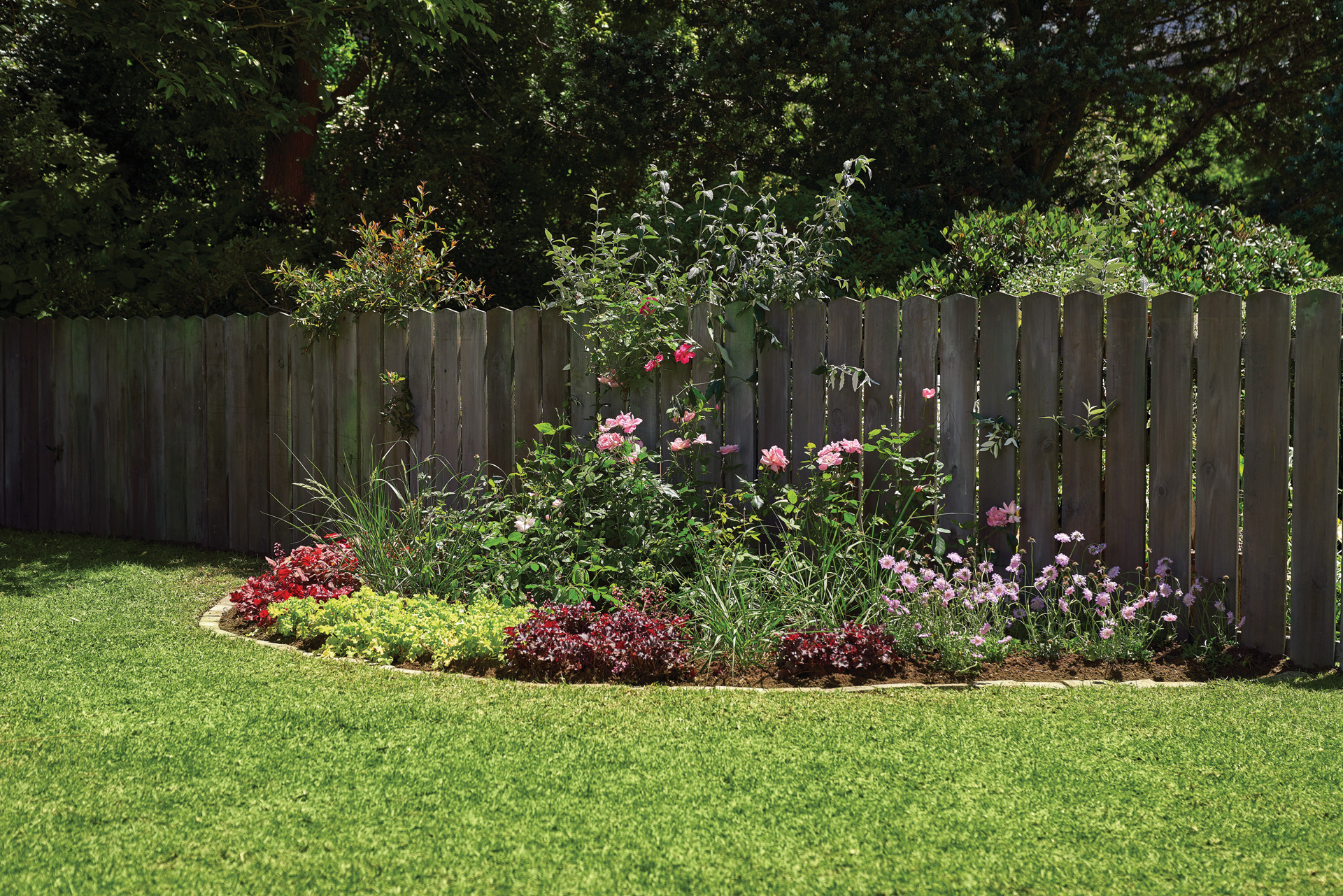 Como plantar perenes: um canteiro de flores perenes colorido num jardim, ao lado de uma vedação de madeira