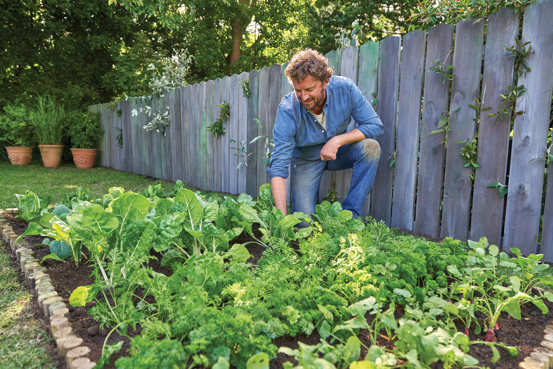Plantar uma horta: um homem agachado num canteiro com legumes em abundância ao lado de uma vedação de madeira